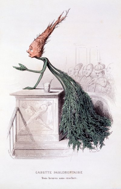 Carota parlamentare, illustrazione da 
